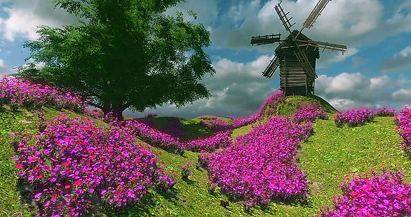 The Pink Meadow